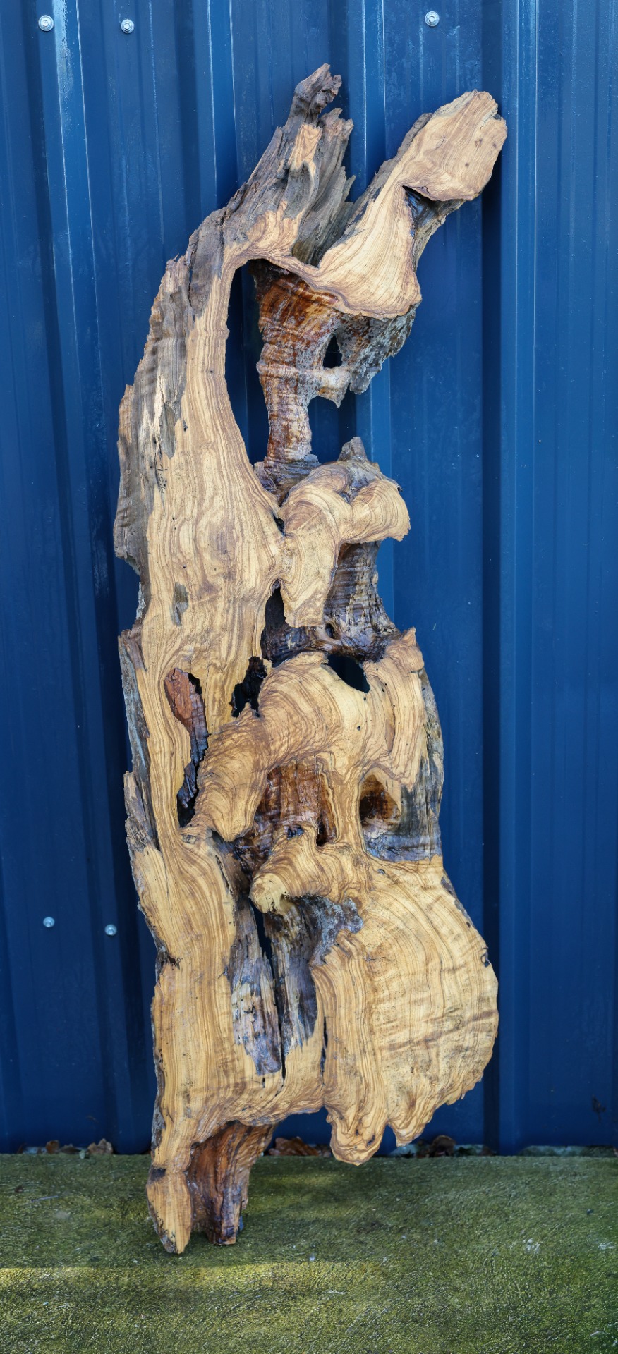 Olive wood slab - 65" x 20" inch