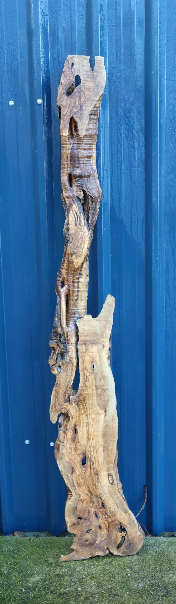 Olive wood piece - 71" x 9.1/2" inch