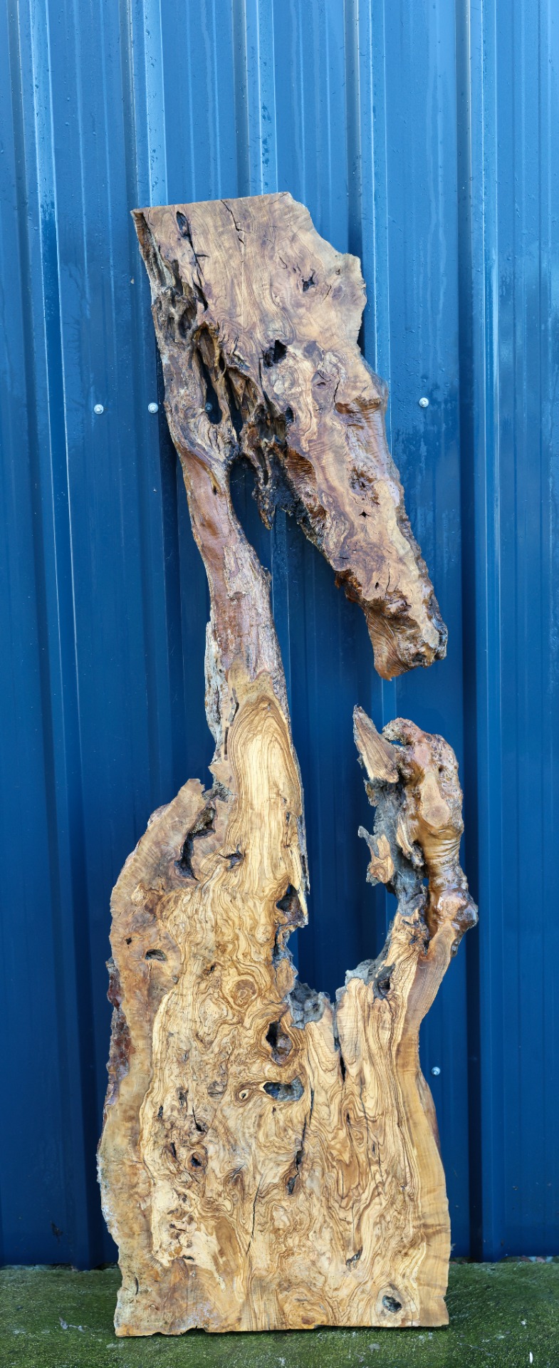 Olive wood slab - 80" x 25" inch