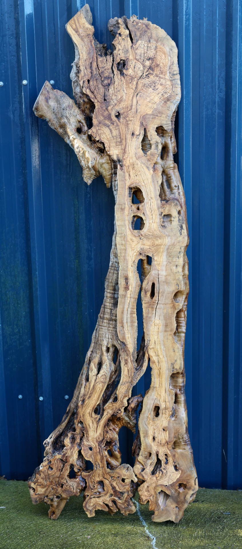 Olive wood slab - 76" x 24" inch