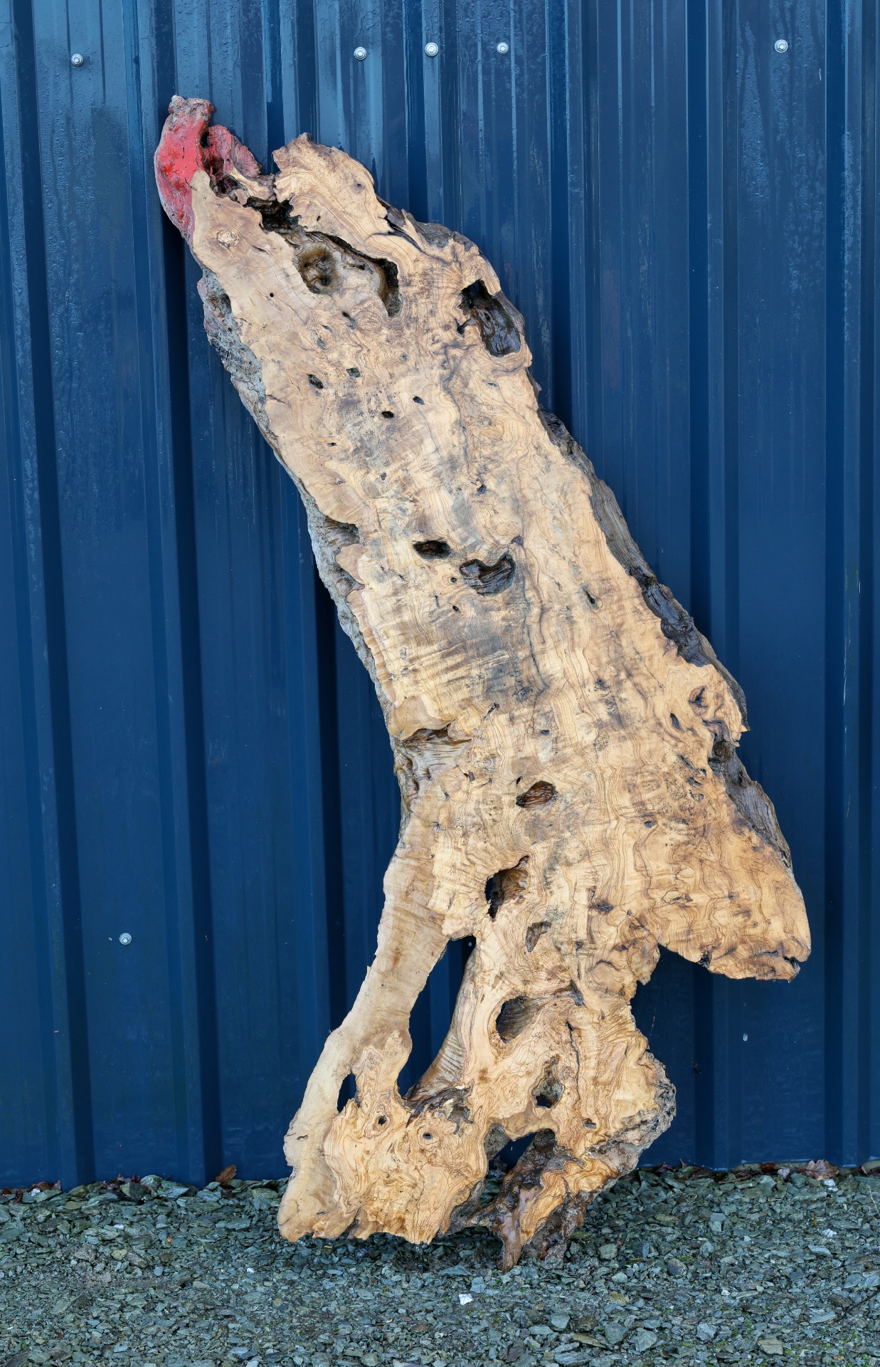 Olive wood slab - 68" x 27" inch