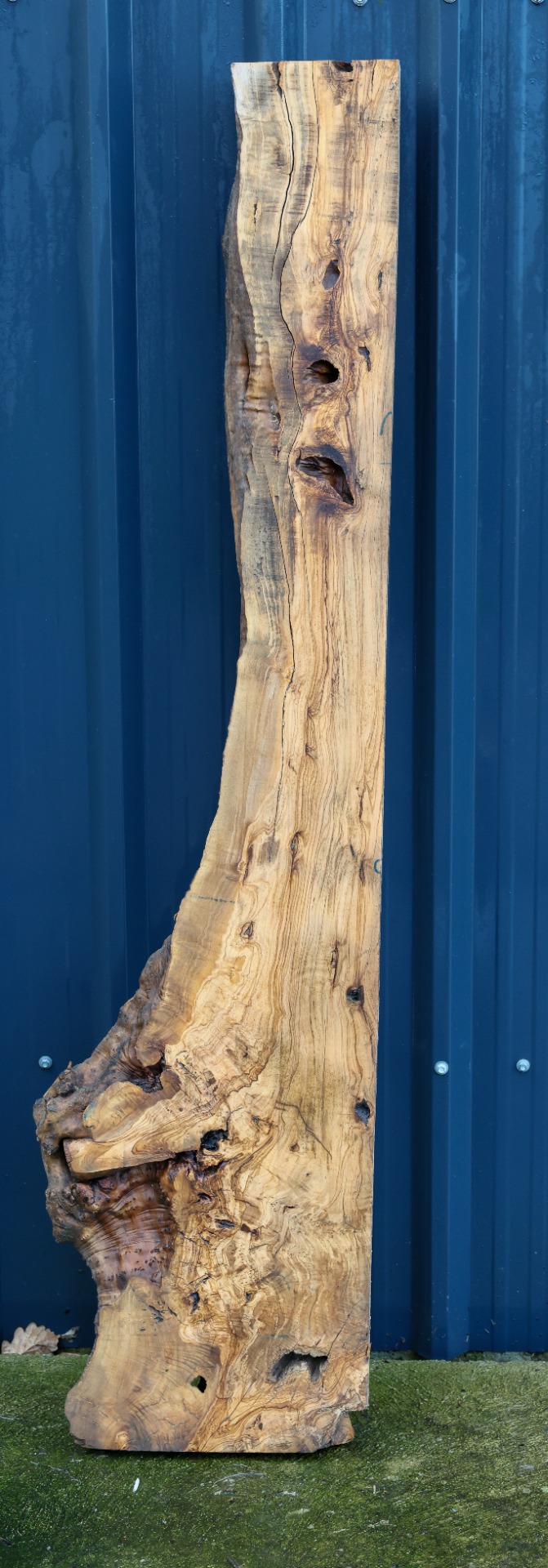 Olive wood slab - 63" x 15" inch