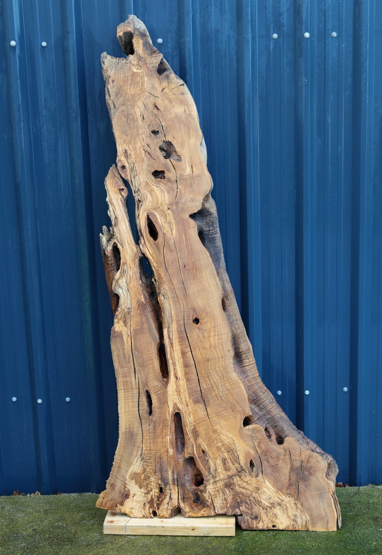 Olive wood slab - 67" x 30" inch