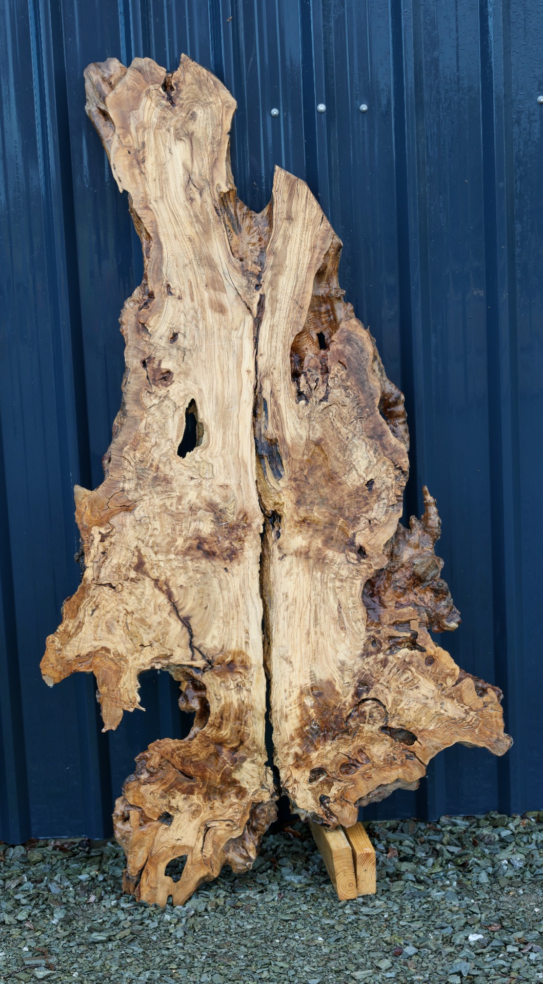 Olive wood slab - 71" x 36" inch