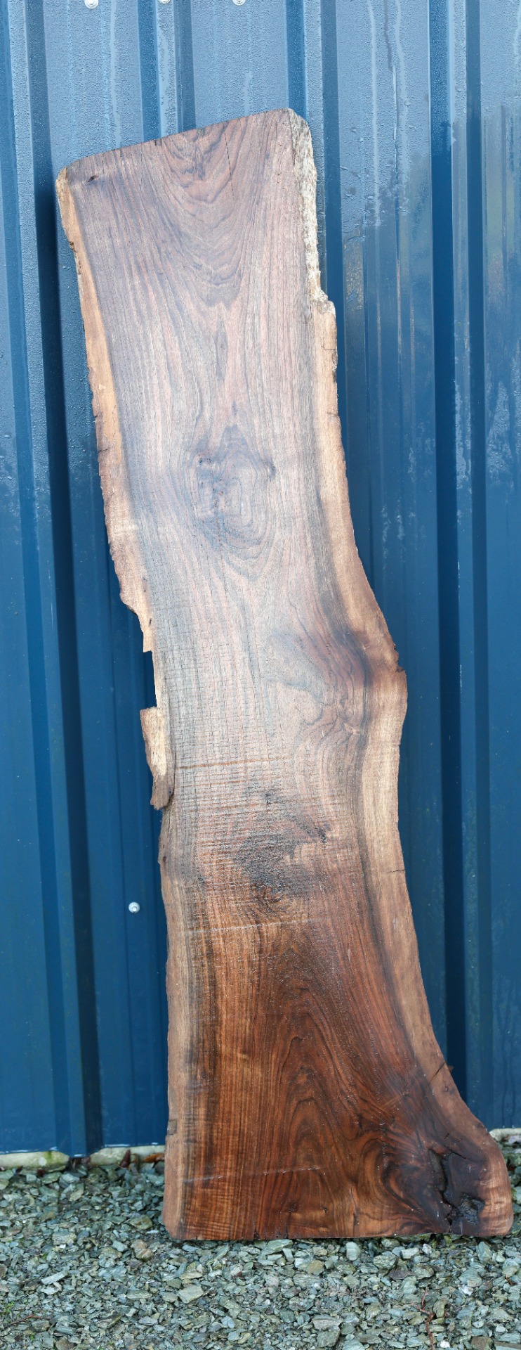 Walnut Slab - 61" x 14" inch