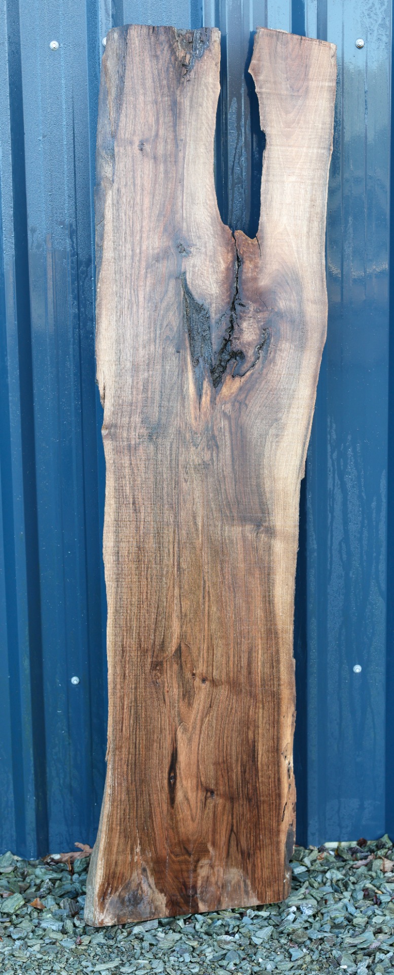Black Walnut Slab - 68" x 18" inch