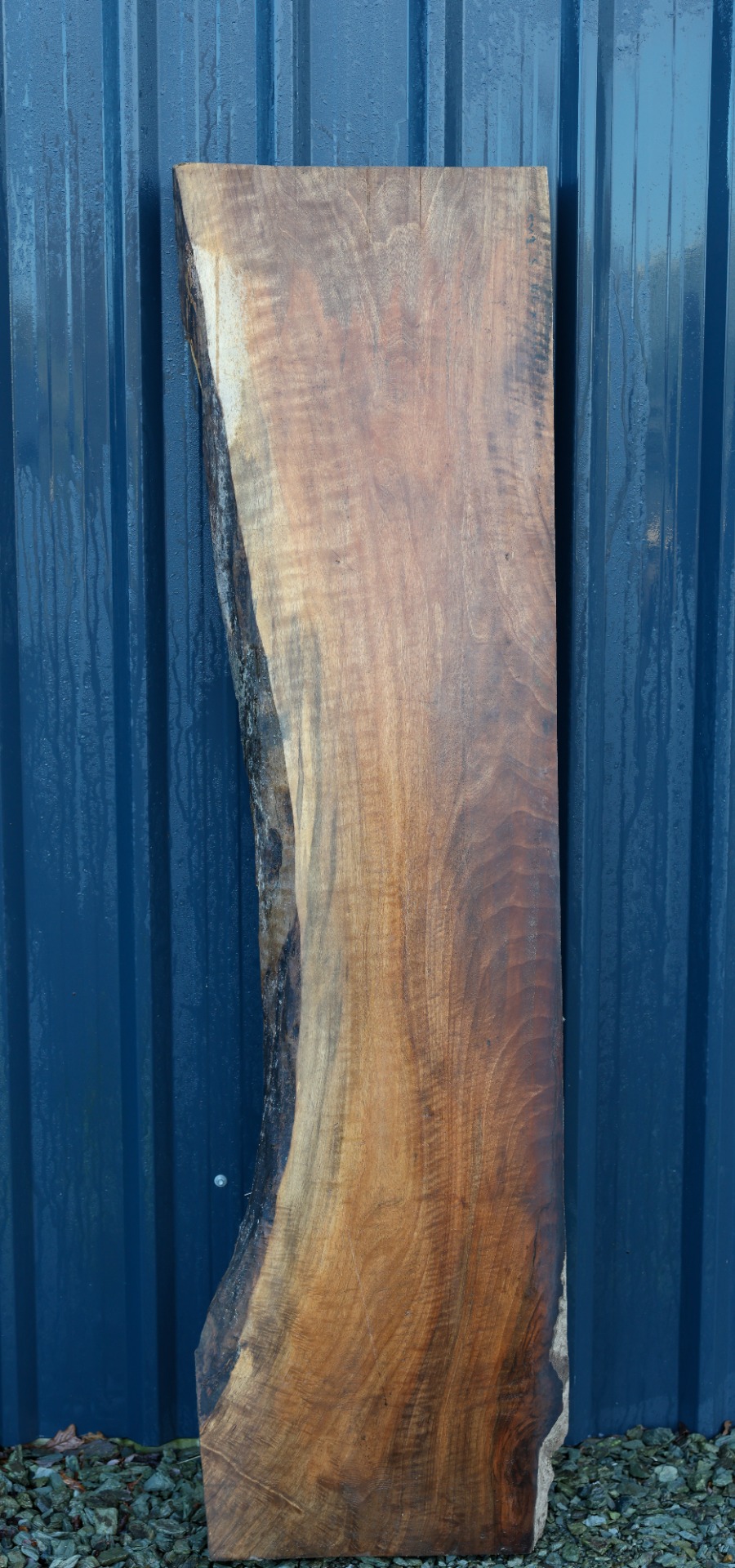 Black Walnut Slab - 71" x 19" inch