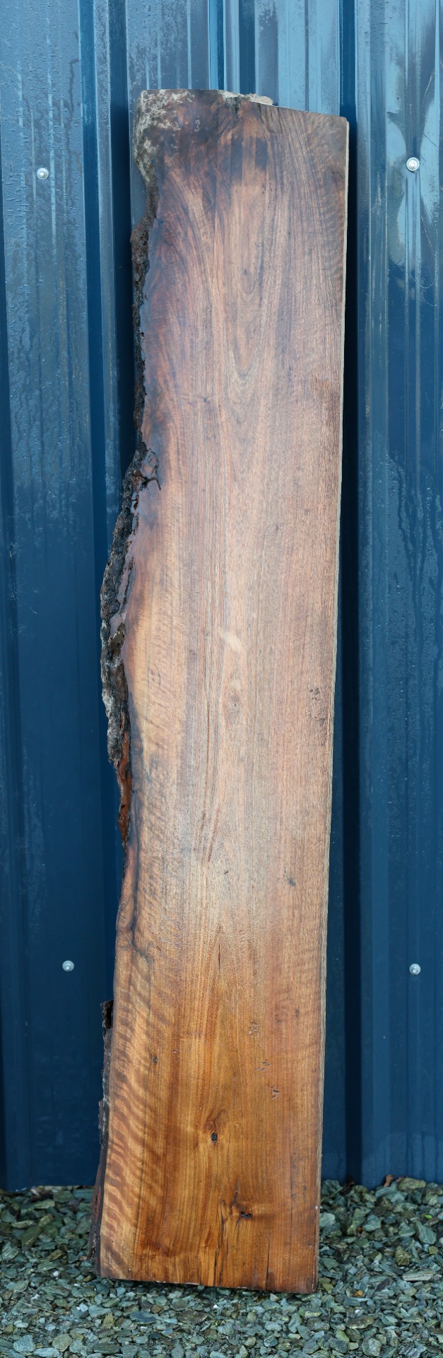 Black Walnut Slab - 71" x 13" inch