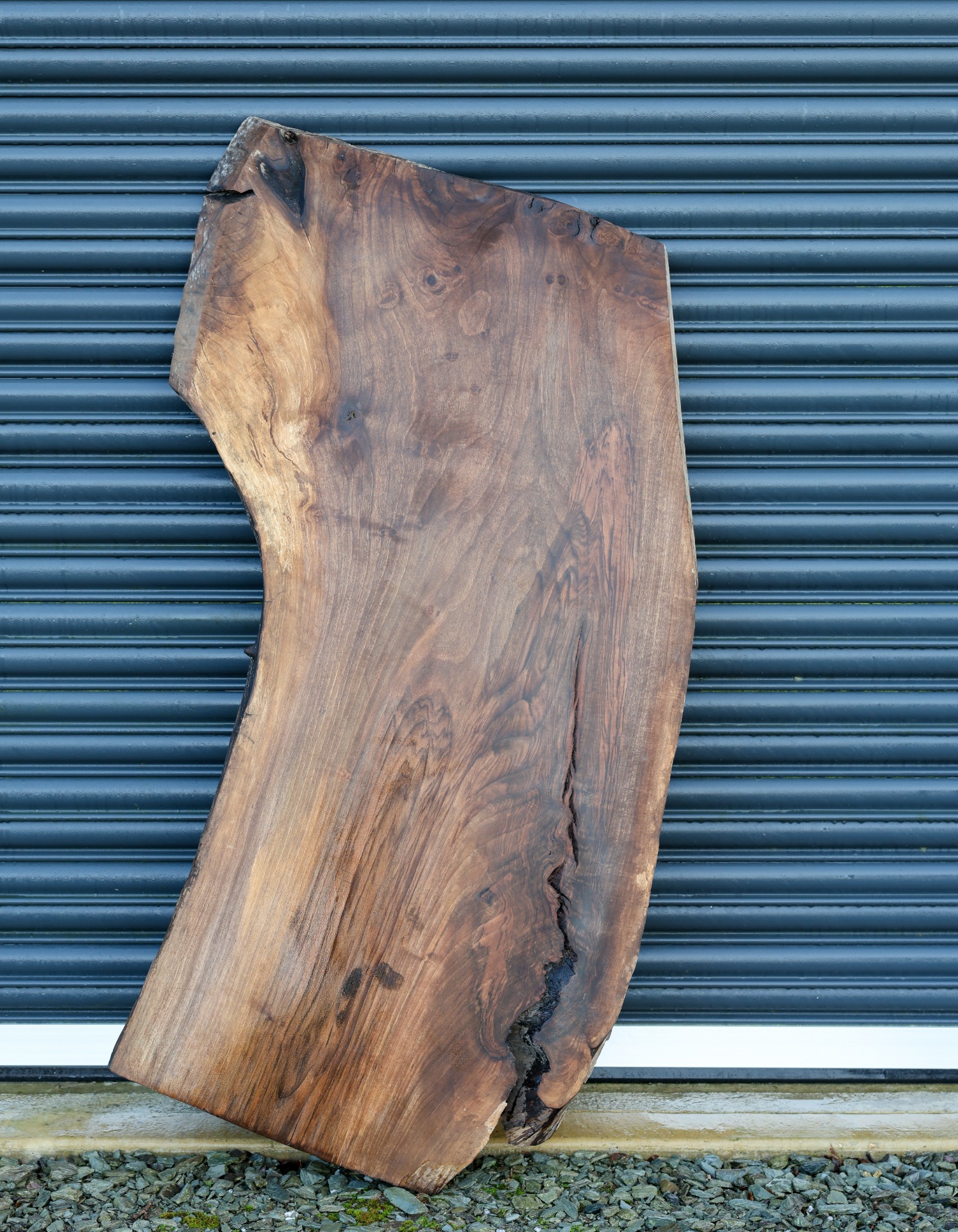 Black Walnut Slab - 57" x 31" inch