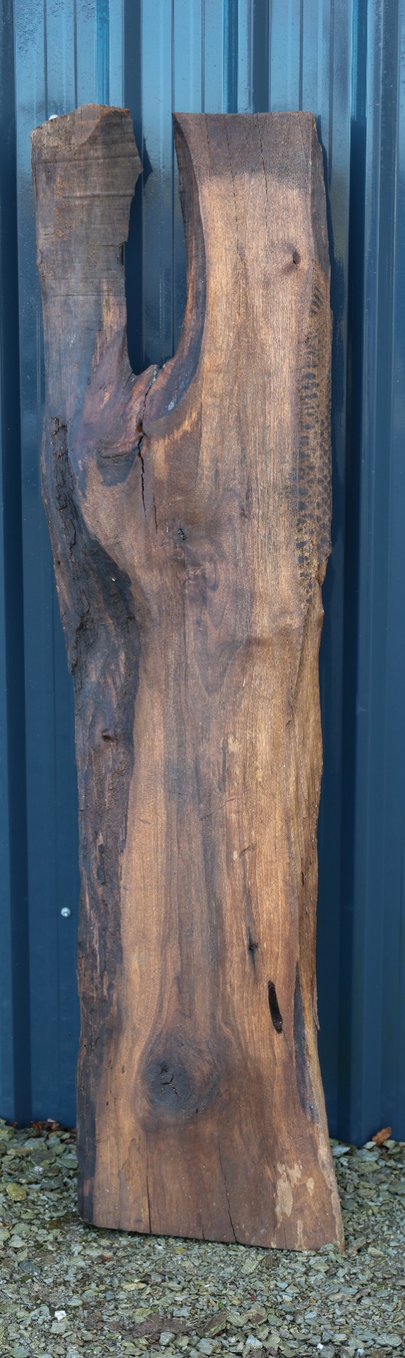 Black Walnut Slab - 68" x 18" inch